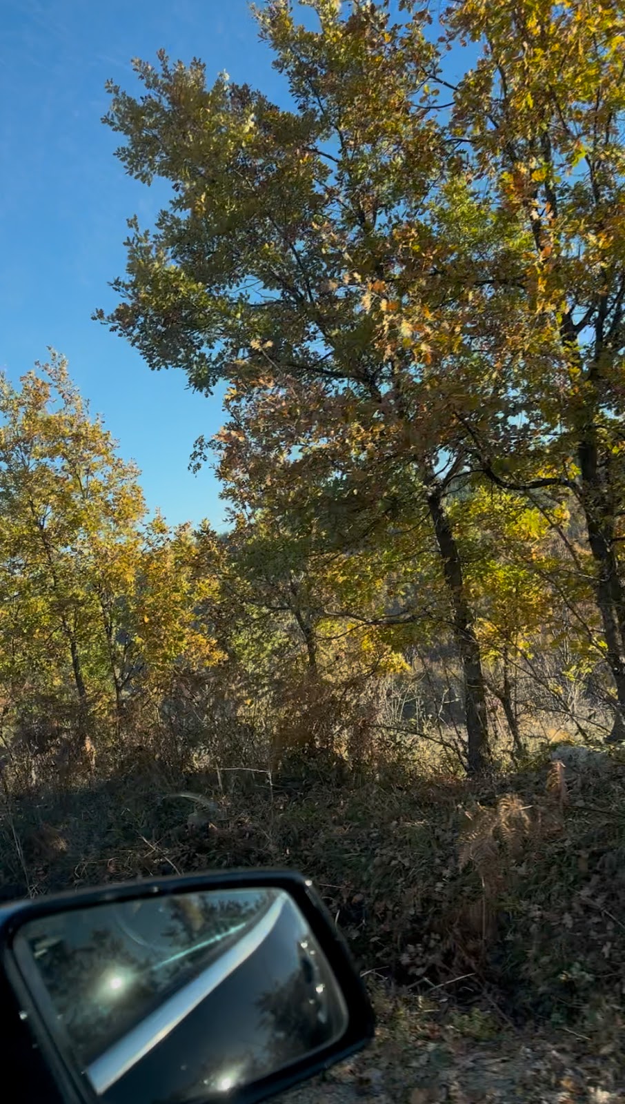 Fshati Kolishtë photo 5