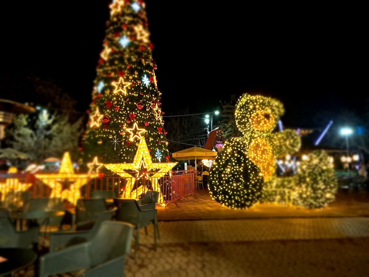 Sheshi Gensher, Elbasan. photo 2