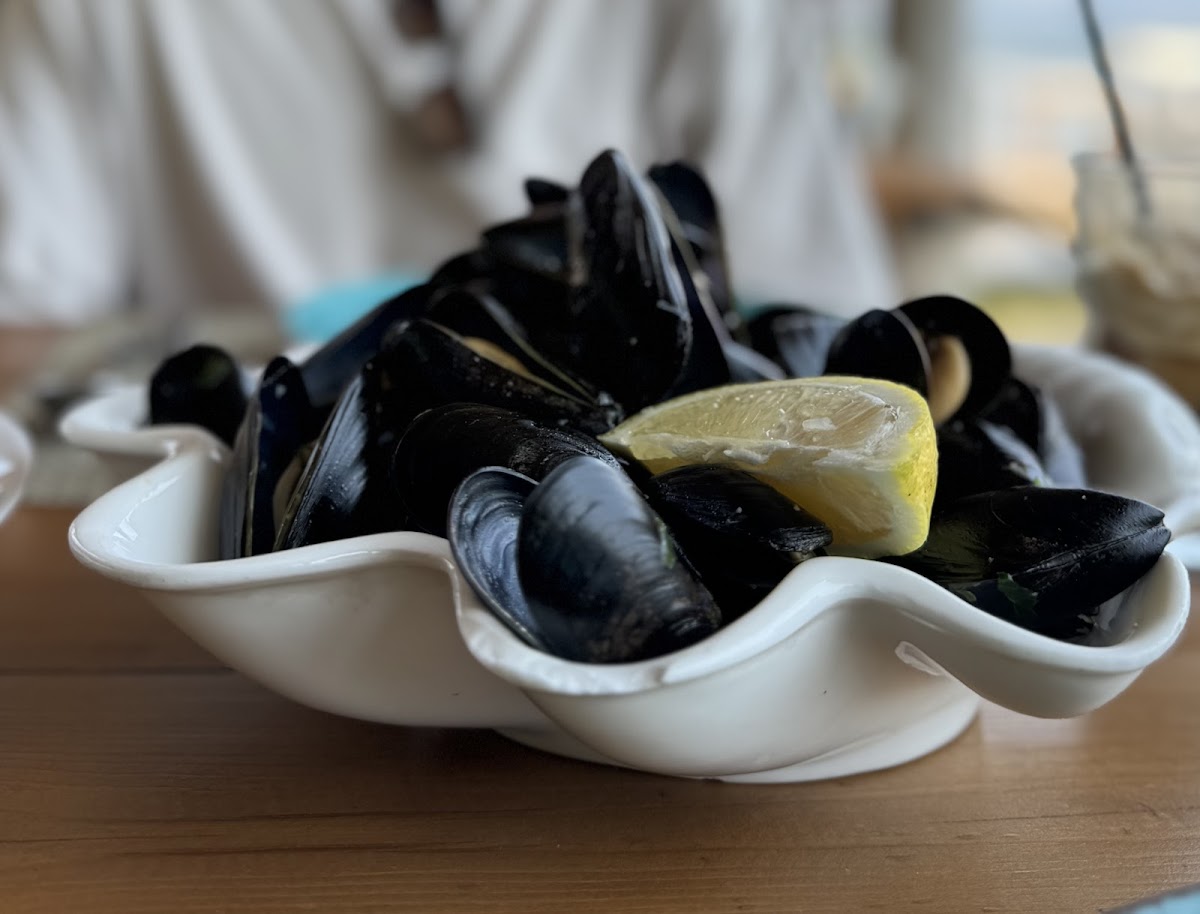 The Mussel House photo 4