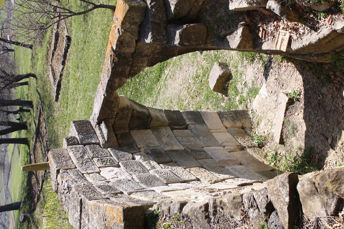 Temenos photo 5