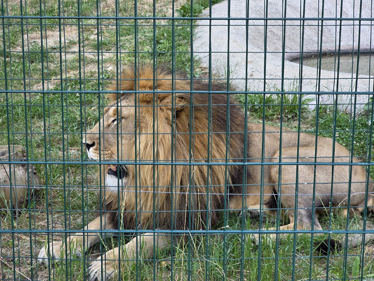 Parku Zoologjik i Tiranës