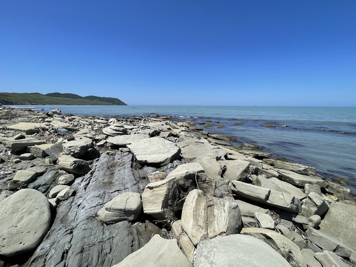 Carina Beach photo 4