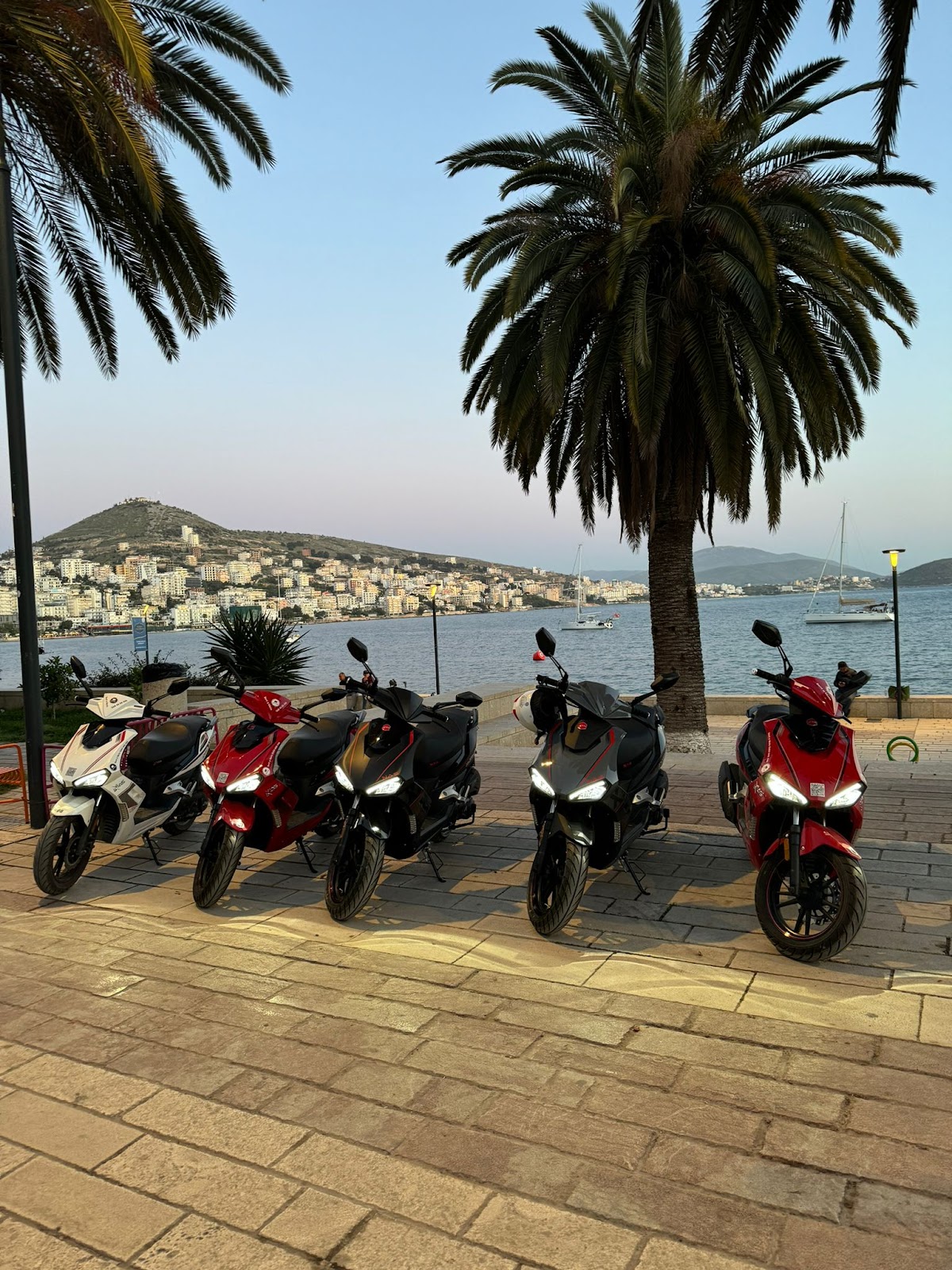 Super Mario´s Motor & Car Rent photo 3