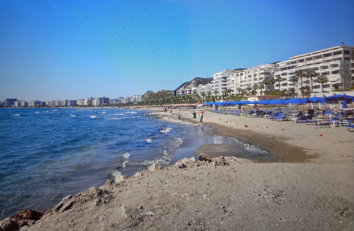 Plazhi i Ri photo 5