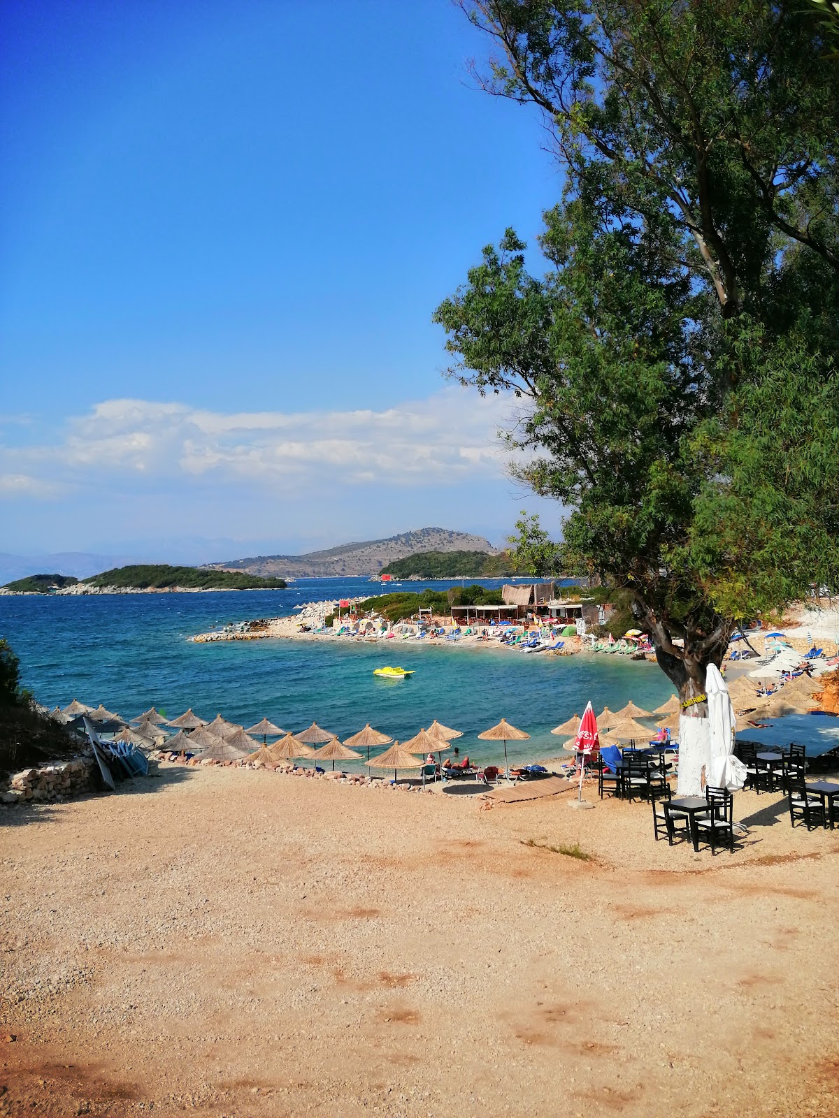 The Last Bay photo 3