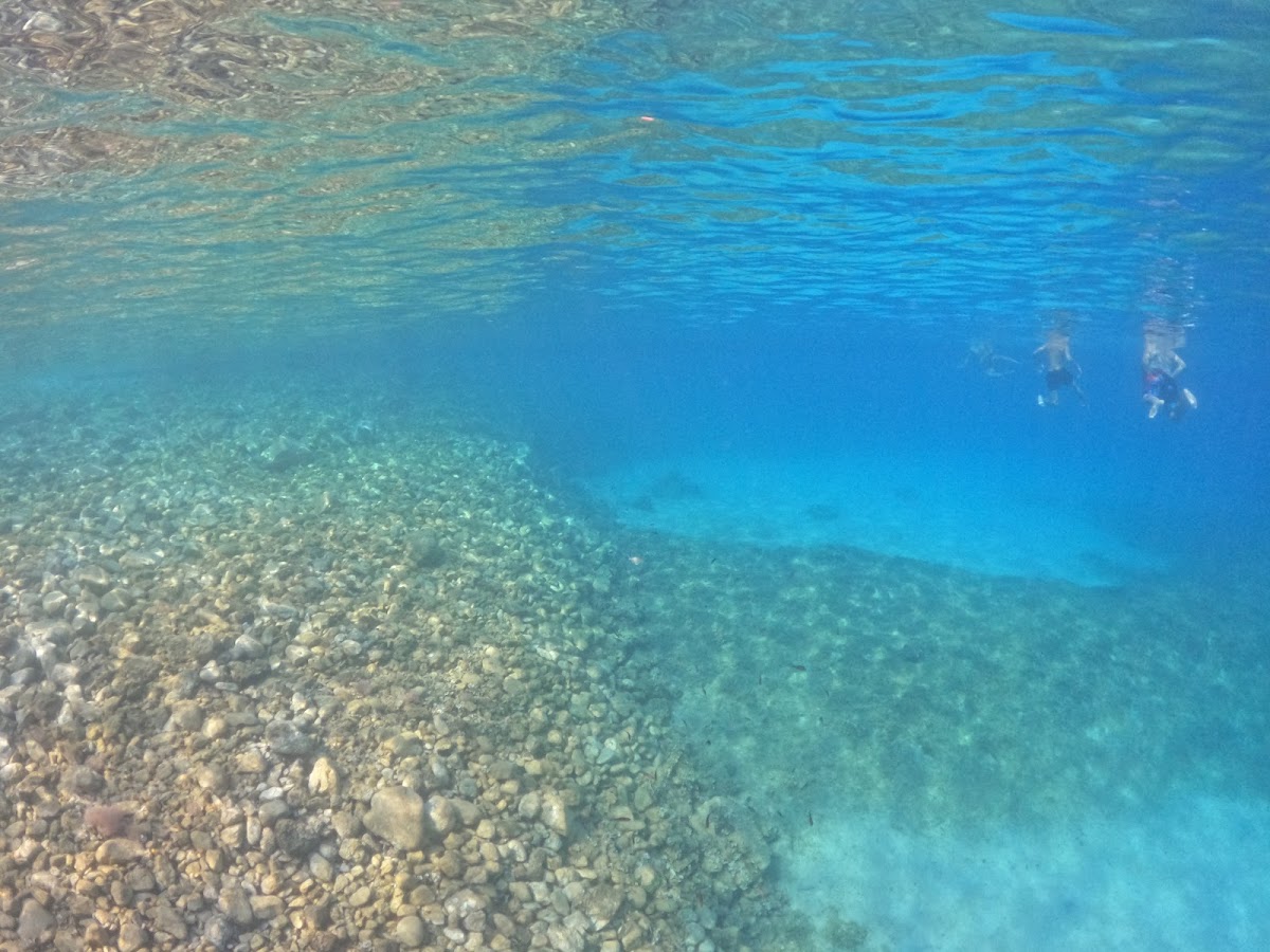 Heart beach photo 4