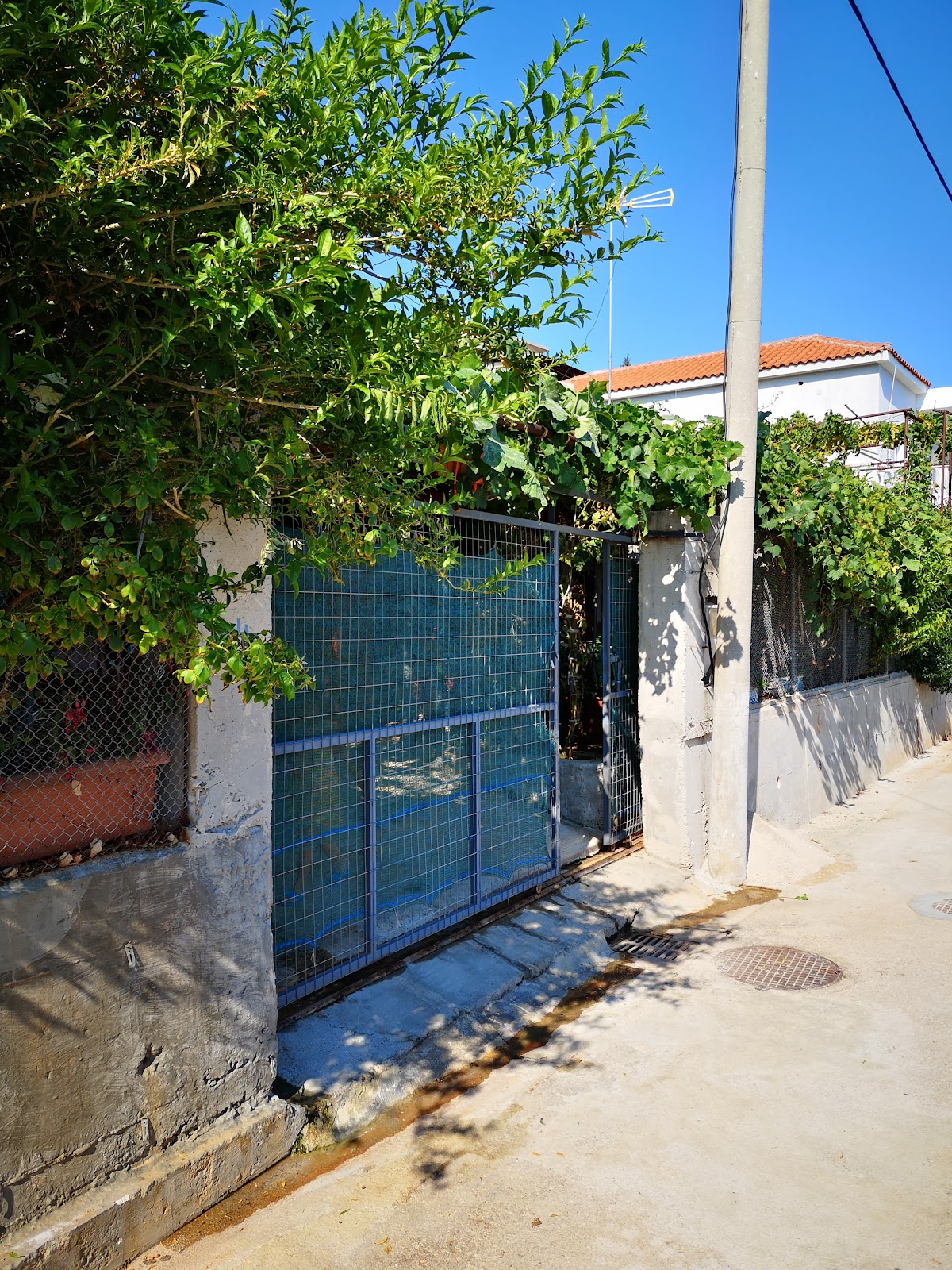 Stone House photo 4