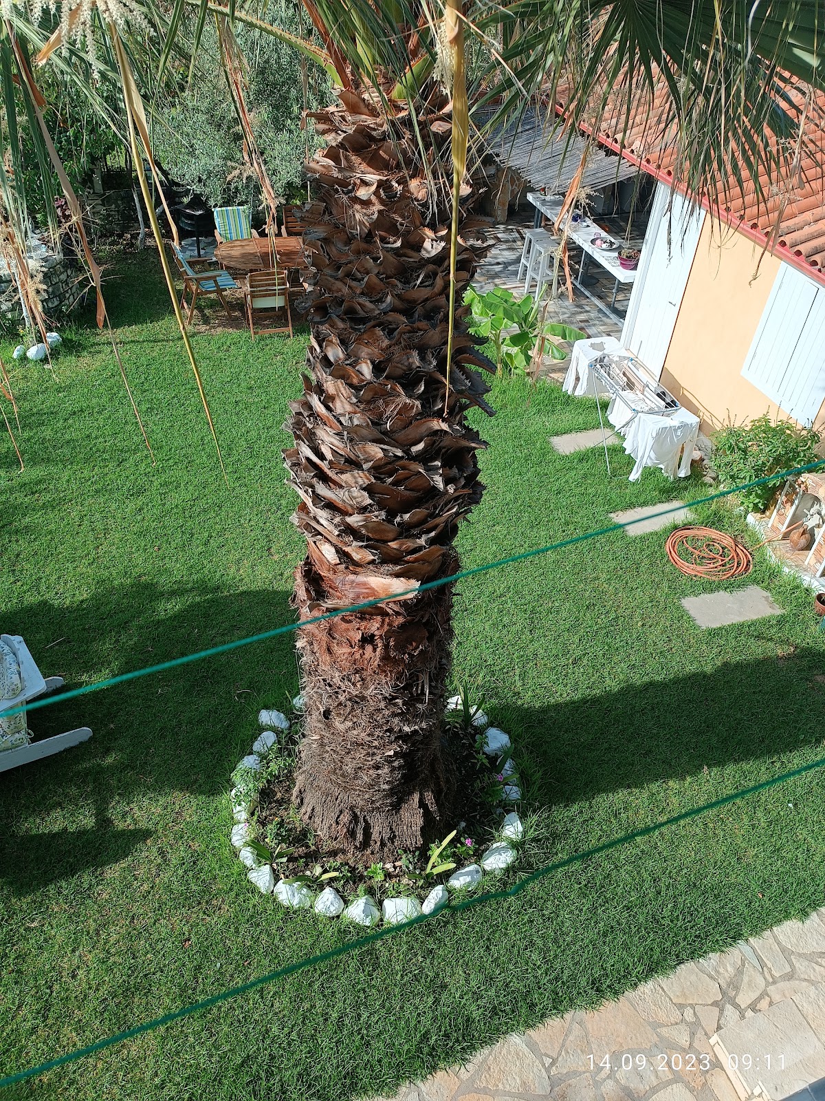 Green House photo 3