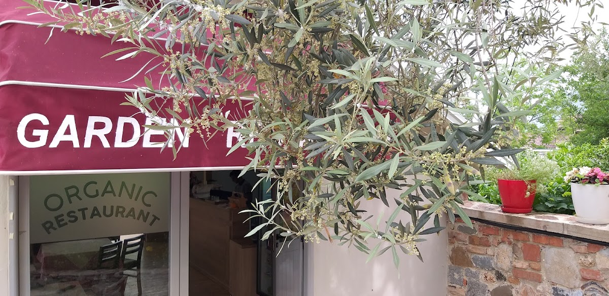 Garden Organic Restaurant photo 3