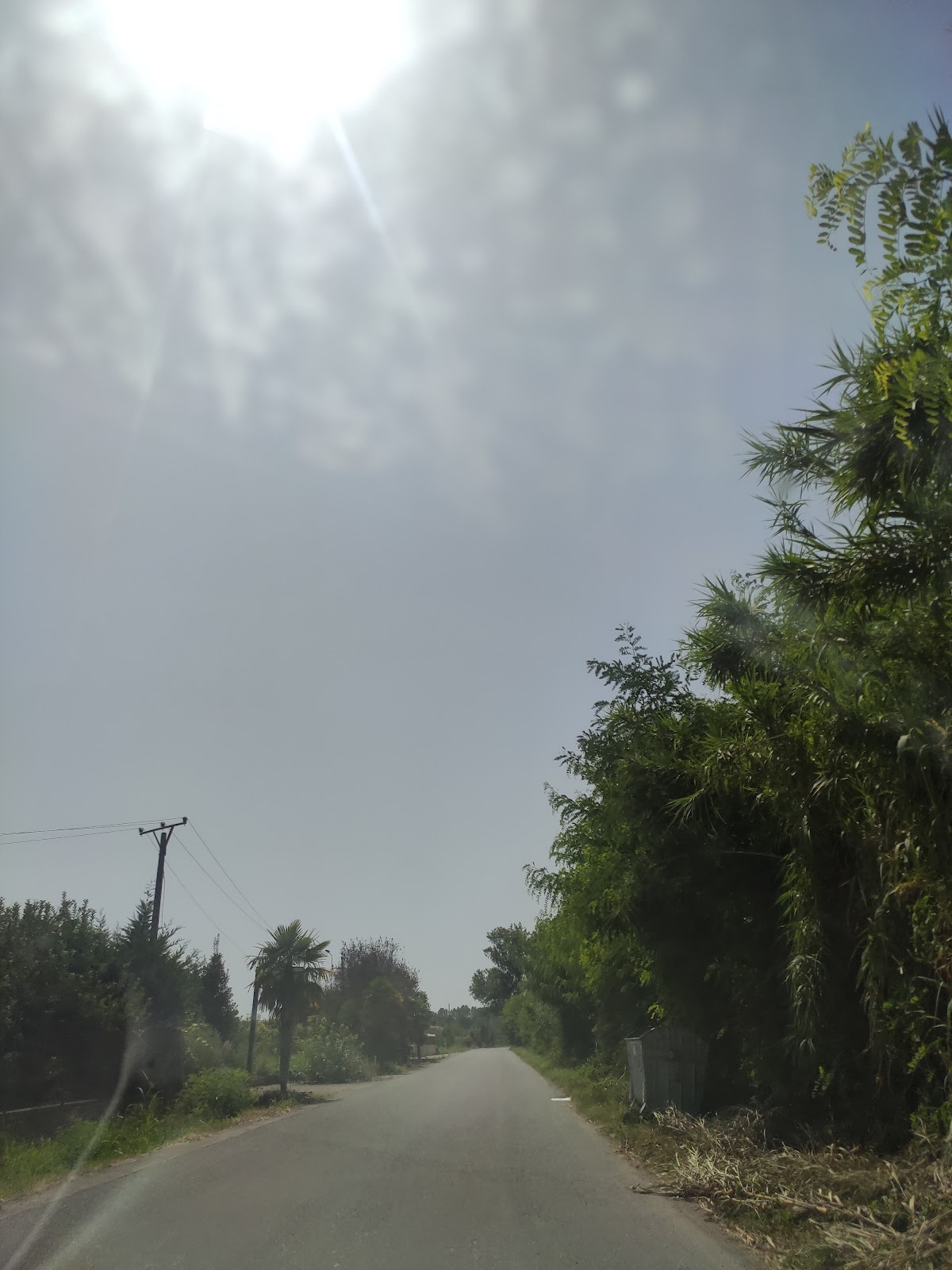 Belaj beach yet wild Shkodra Destination photo 5