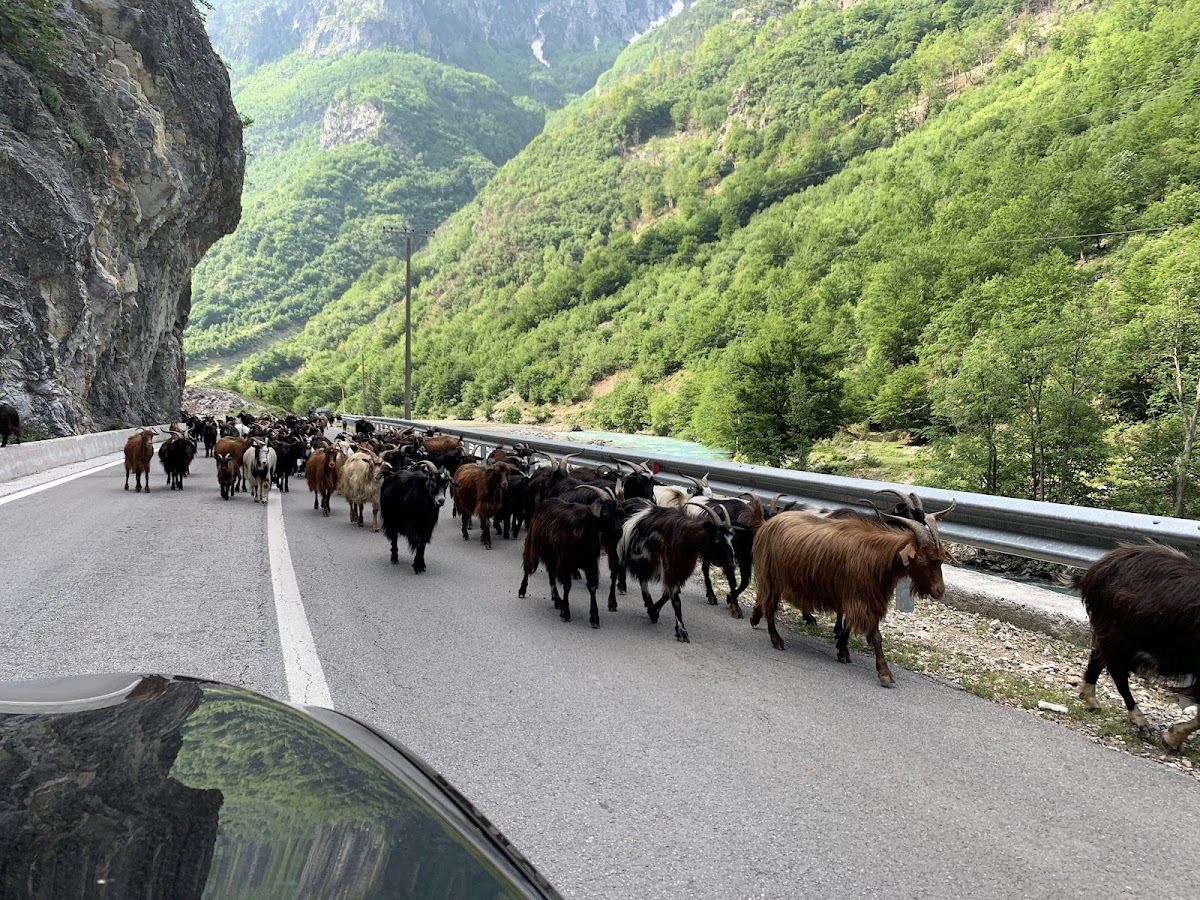 Valbona Tradita photo 2