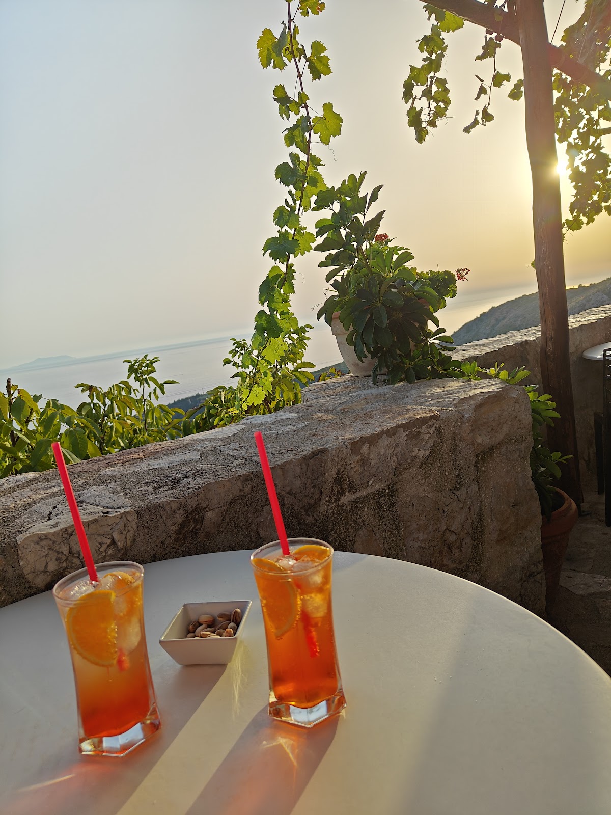 Cafe Amphora photo 4
