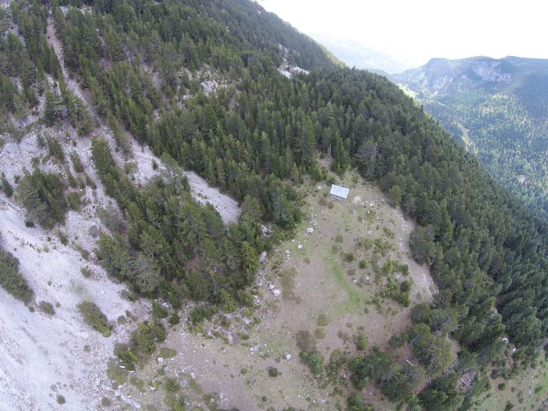 Stani i Mentorit photo 5