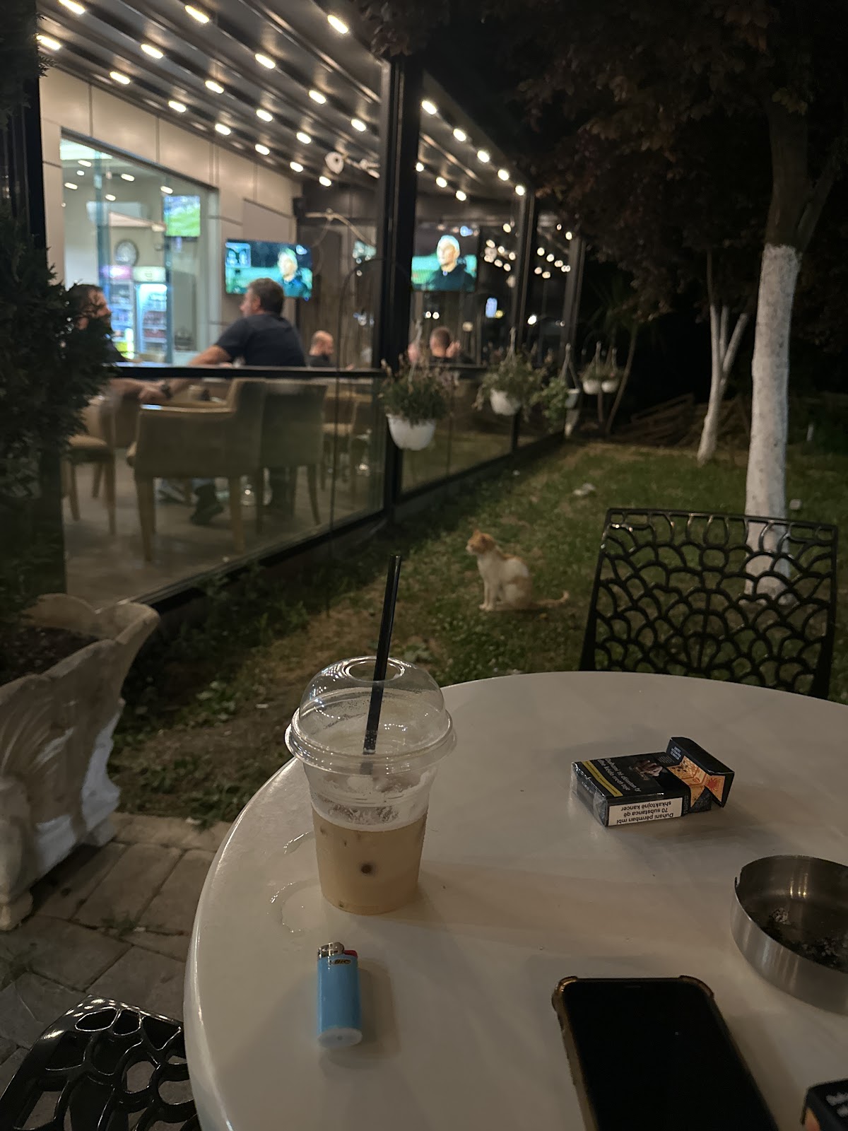 101 photo 2
