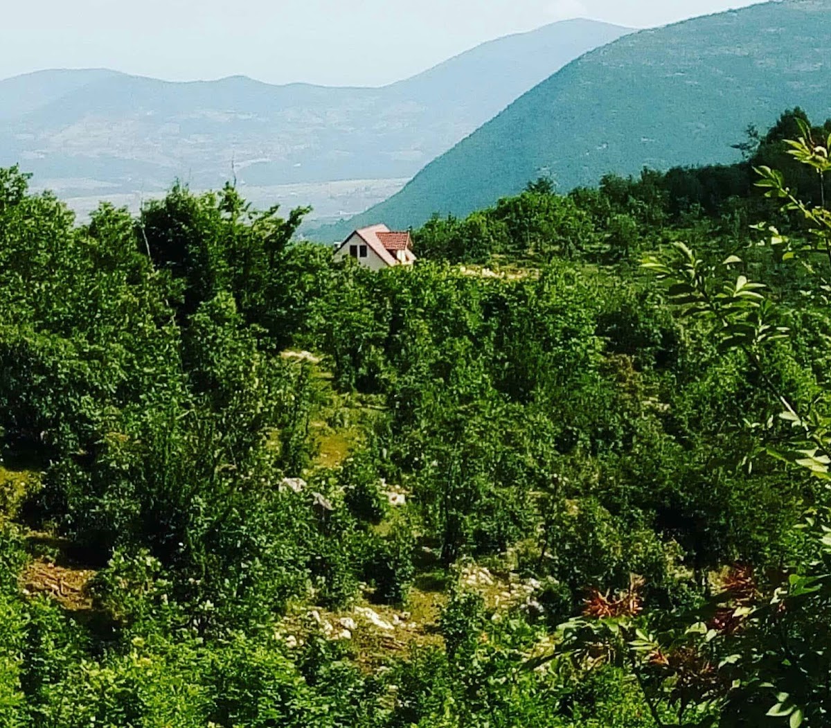 Deer Peak Hostel photo 2
