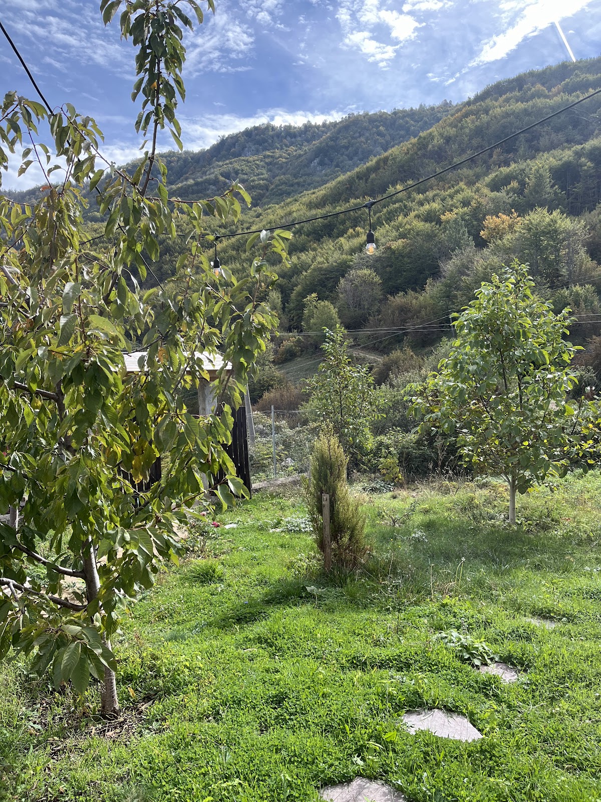 Tanushi photo 3
