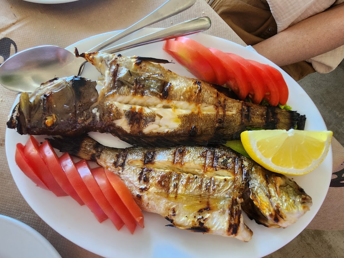 Taverna Garden photo 4