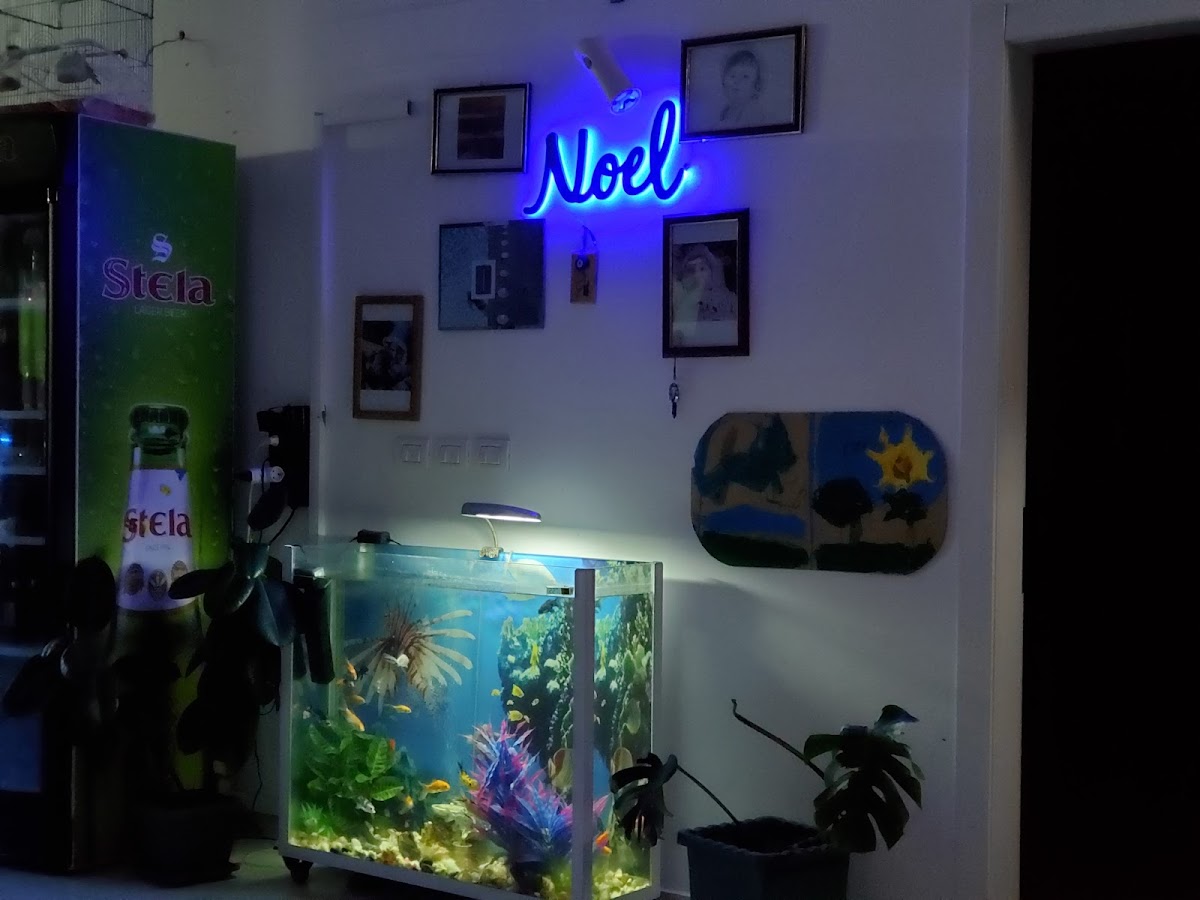 "Noel" Bar photo 5