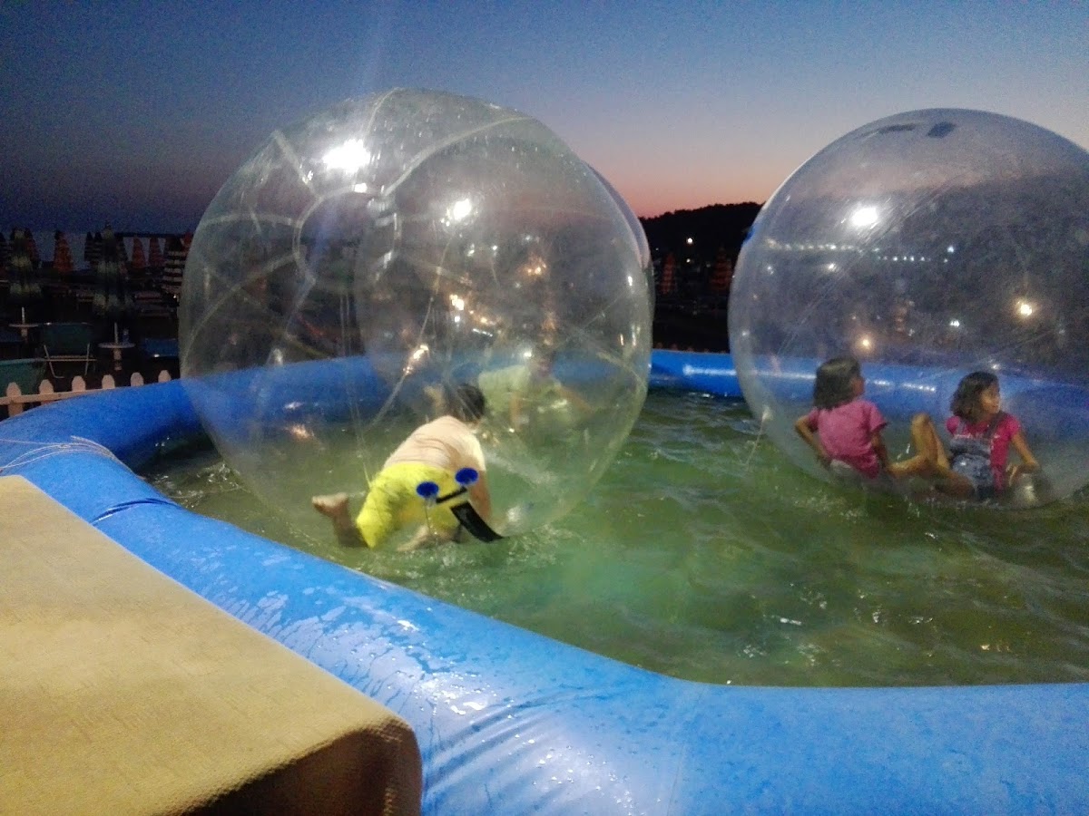 Hotel Alba photo 3
