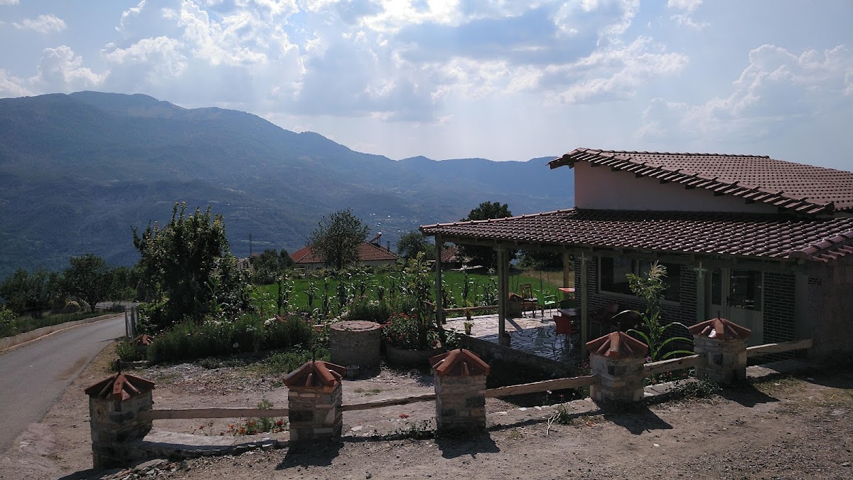 Café Xhepi photo 5