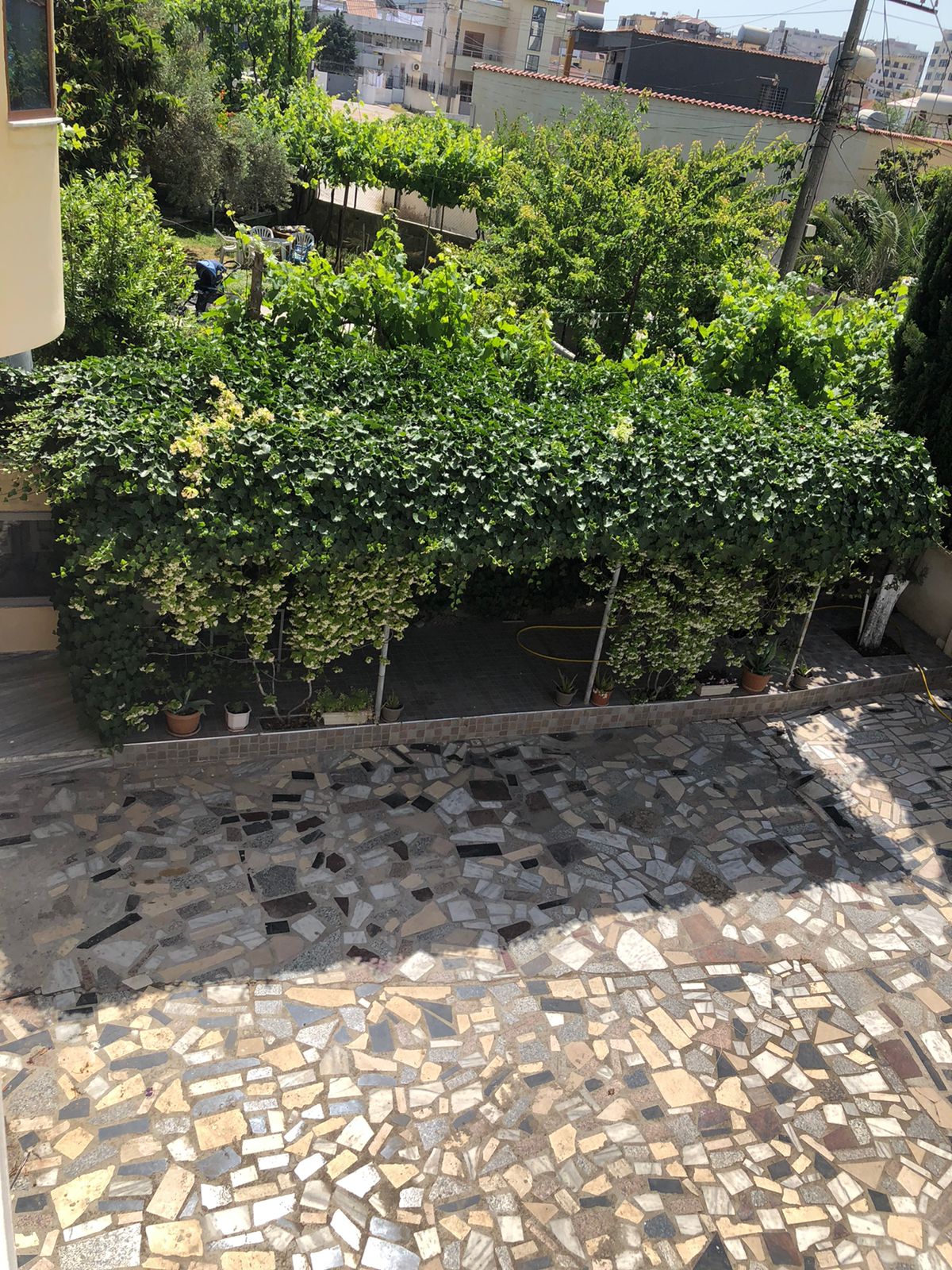 Brahi Guest House photo 5