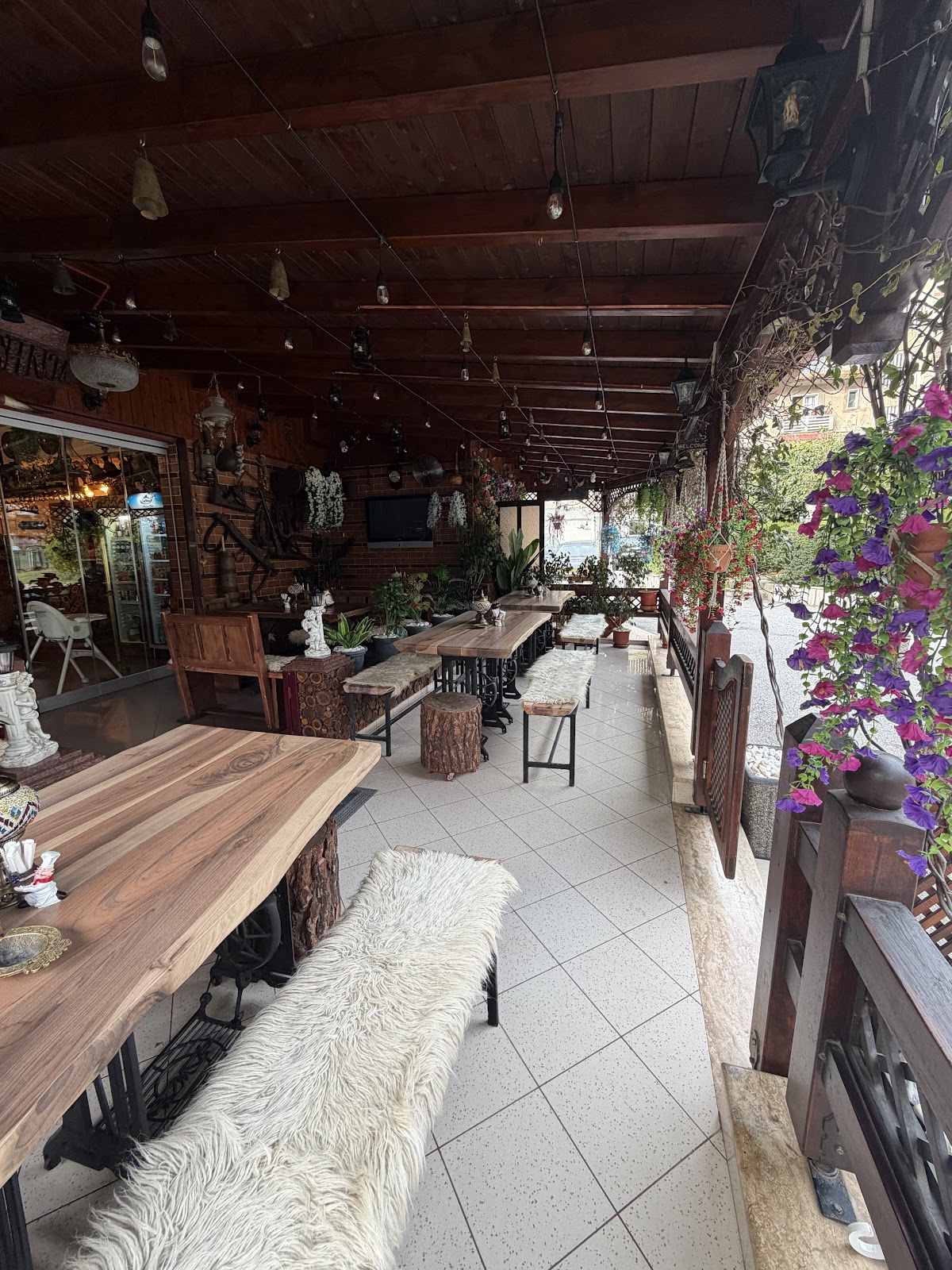 Zgara Zaloshnja photo 2