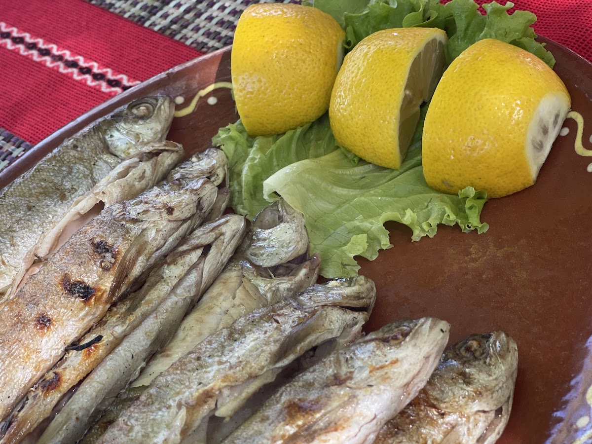 Taverna Ndona photo 4