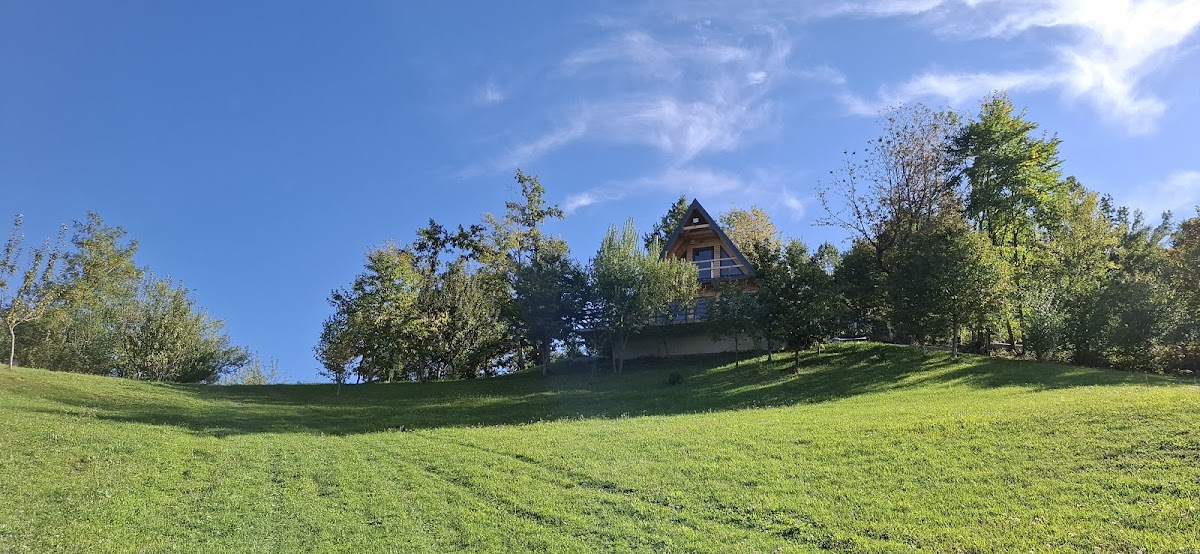 Villa Alfa photo 2