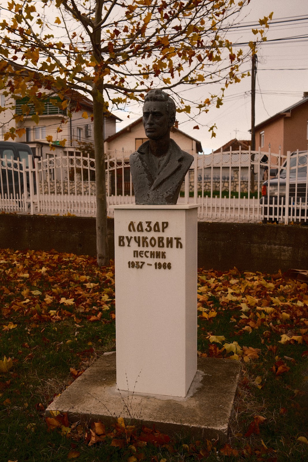 Spomenik Lazaru Vučkoviću photo 5
