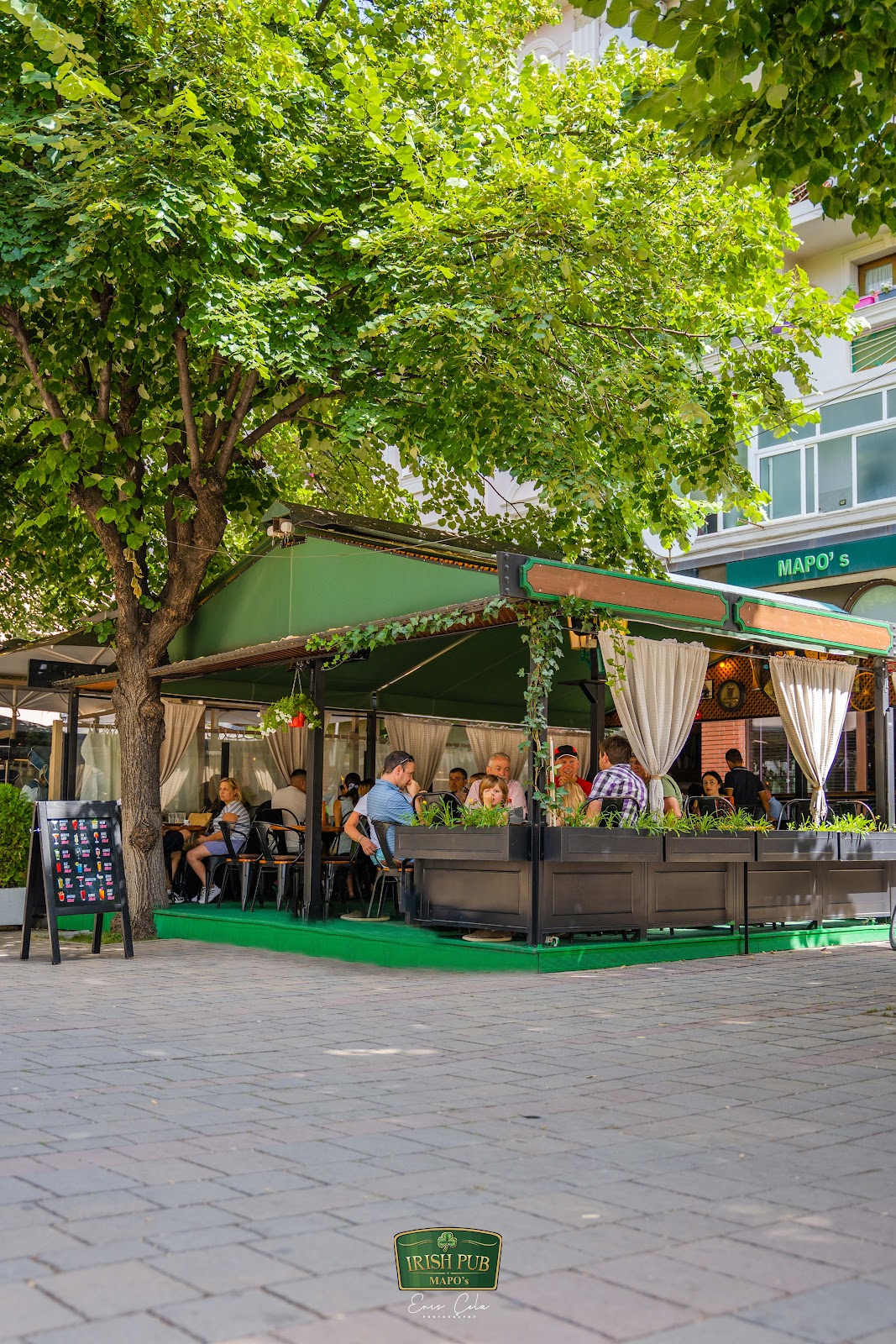 Mapo's Irish Pub photo 5