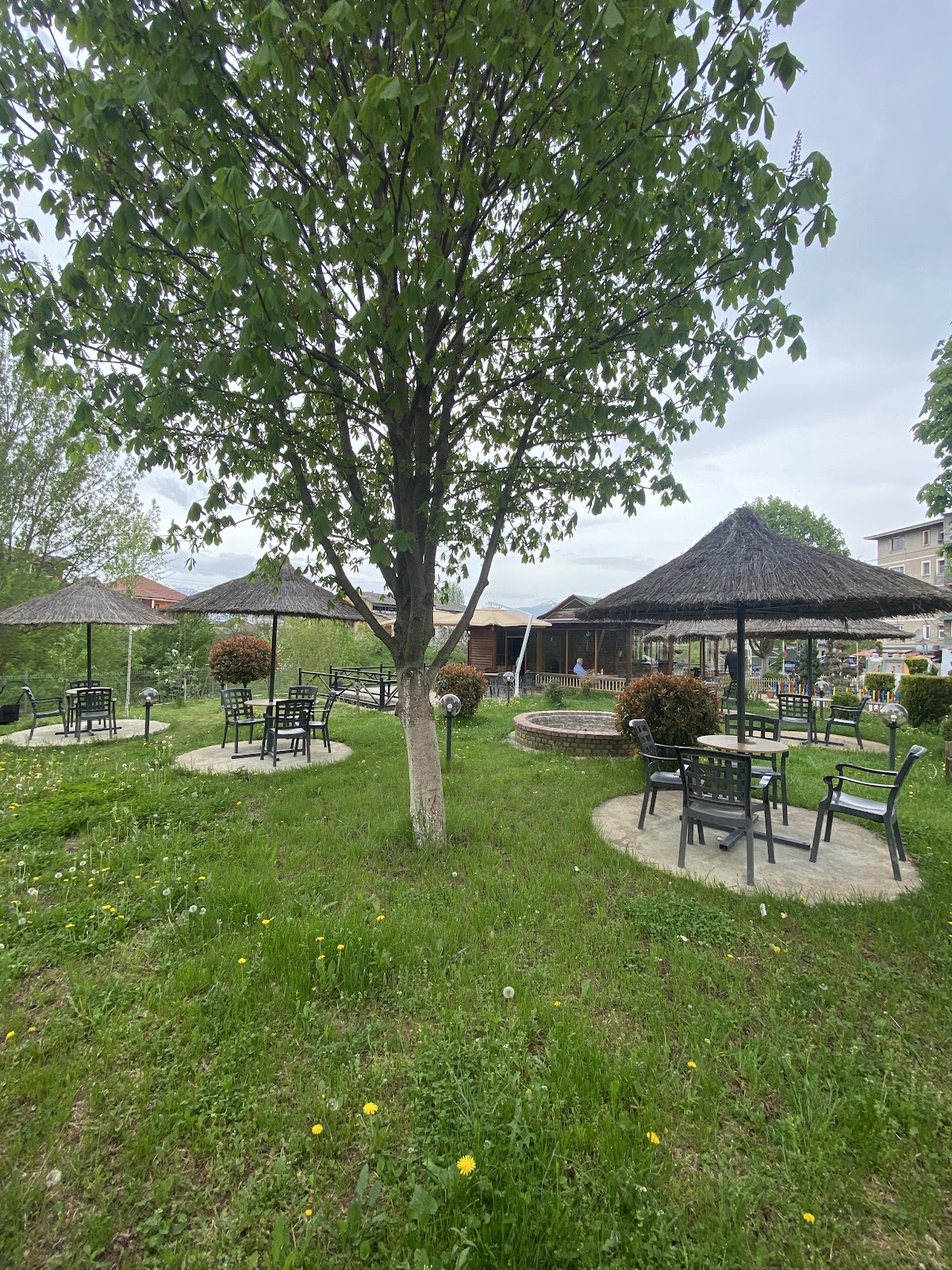 Kafe bar & lavazh Obama photo 4