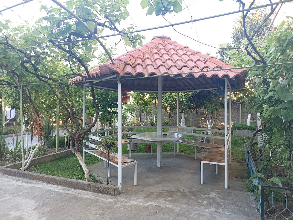 Villa Osmani photo 4