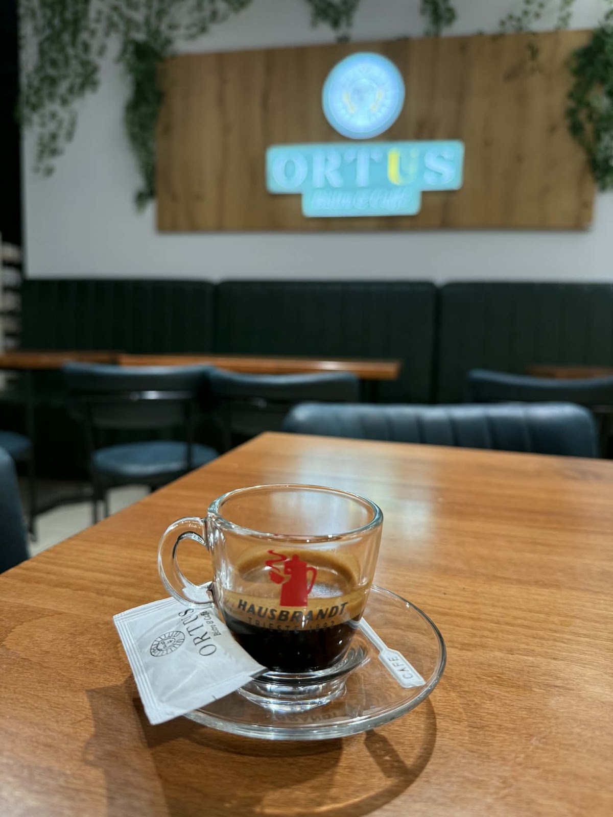 Ortus Bistro & Caffe — Restorante në Rahovec — photo 2