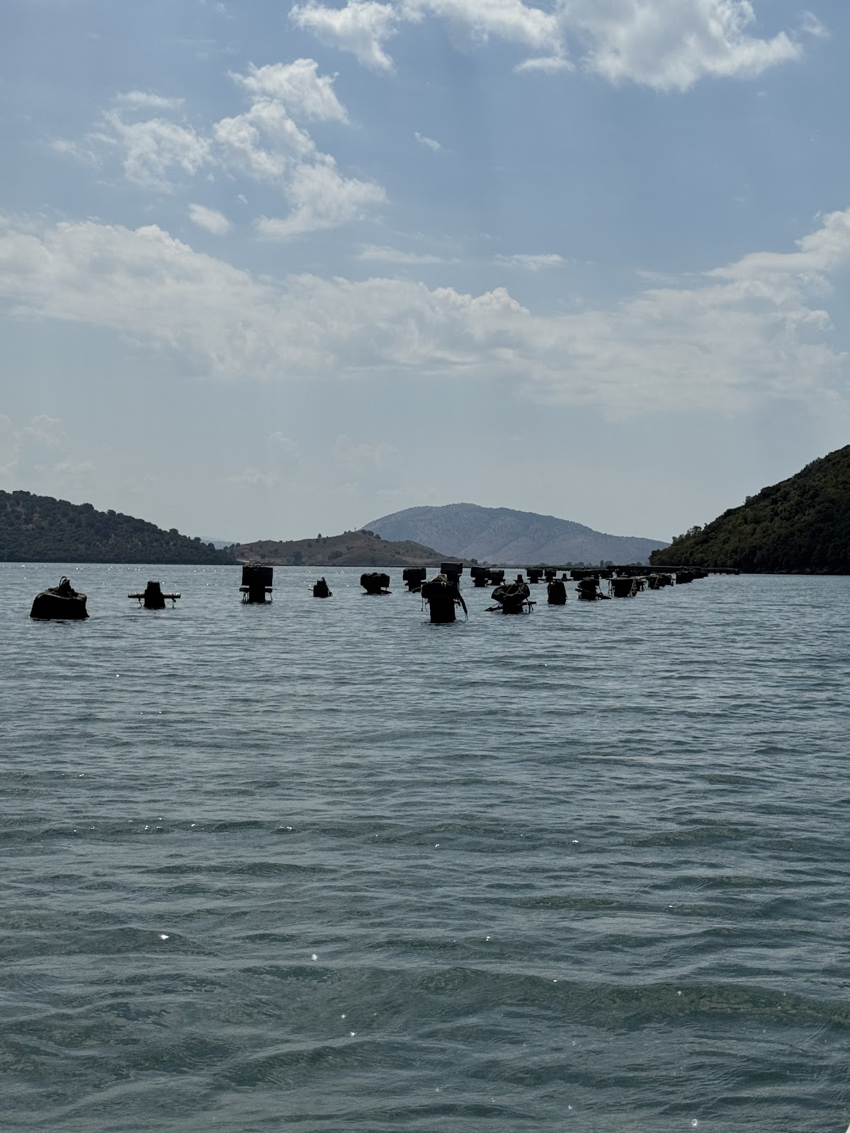 Mussel Sailing Tour with Food and Drink Tasting in Albania photo 4
