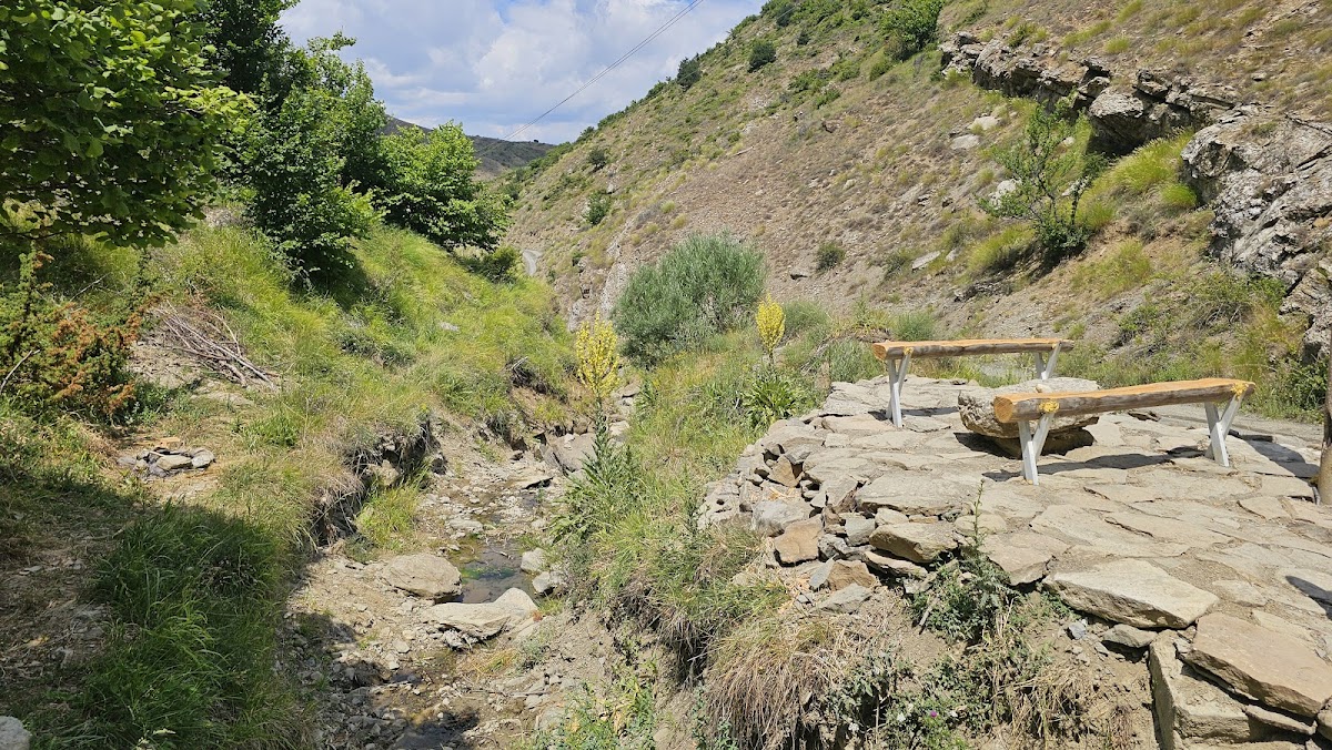Sorkadhja