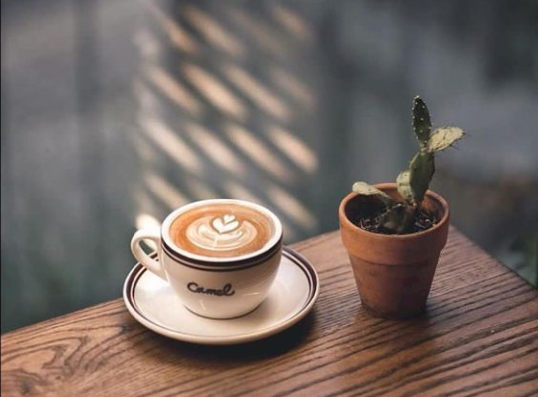 Orel Coffee Snack Bar photo 2