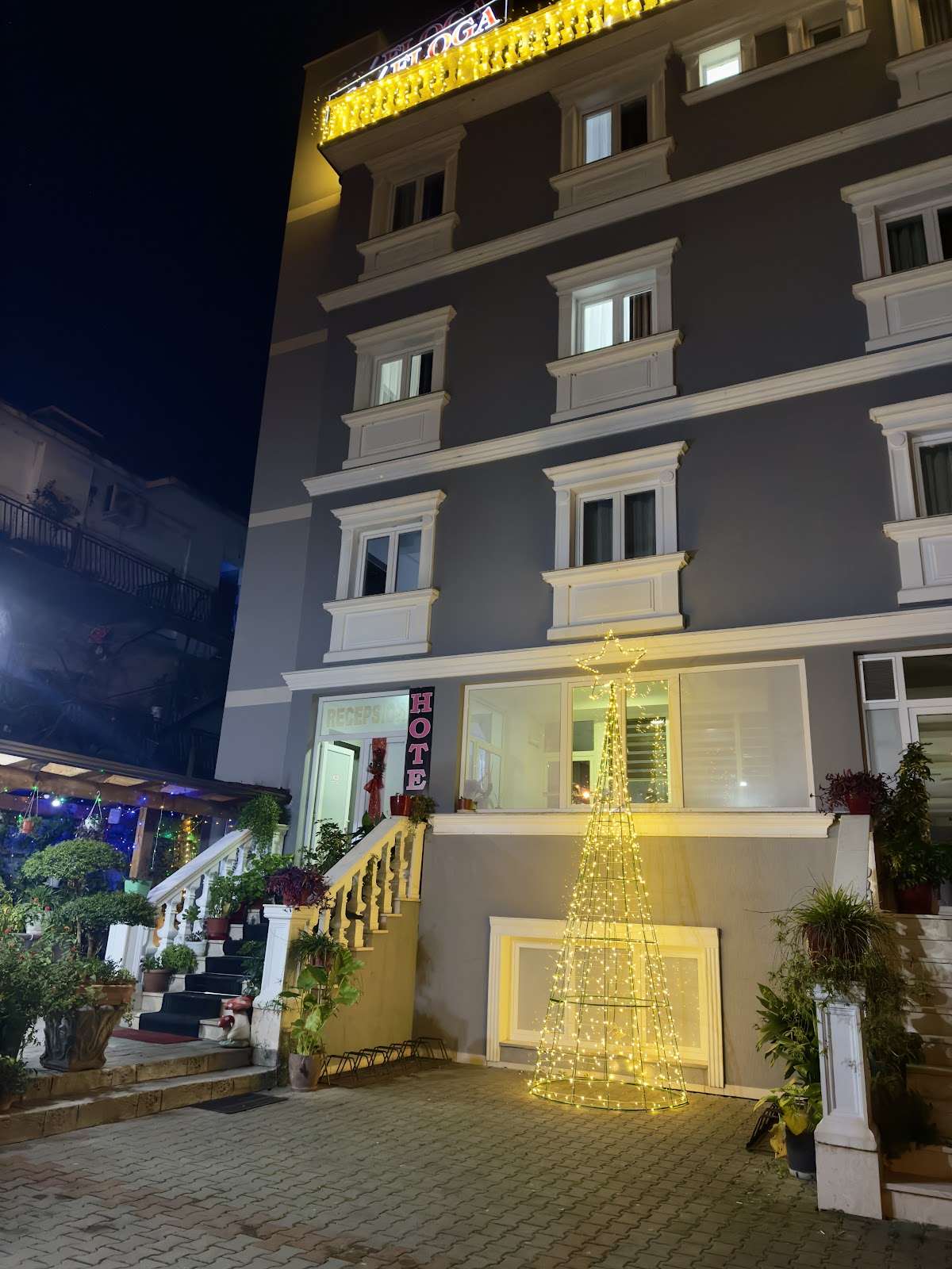 Hotel Floga photo 3