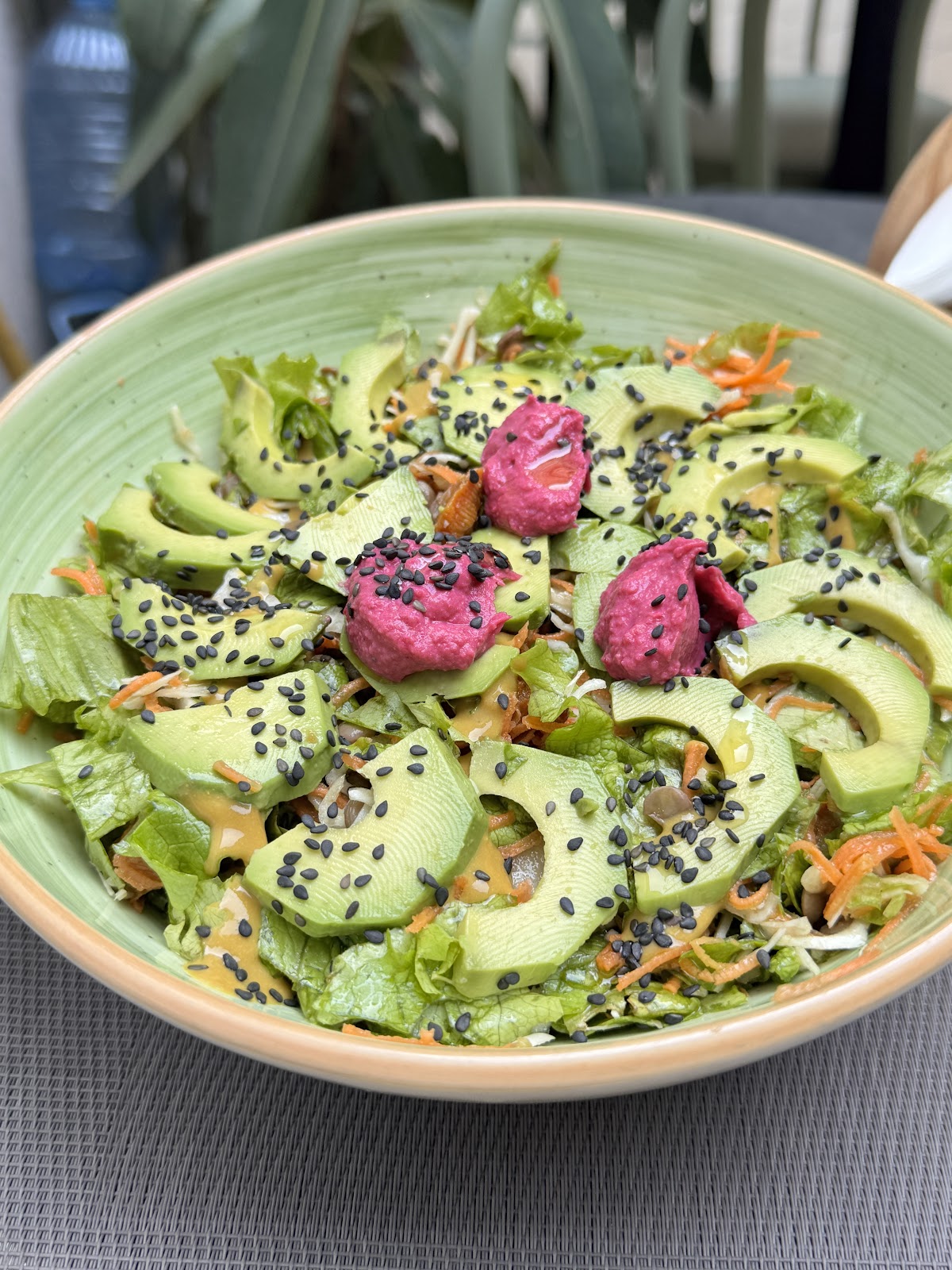 Gjelber Tirana Healthy Vegetarian Vegan photo 4