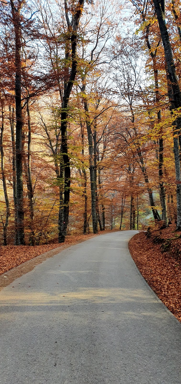 Gërmia Park — Atraksione në Prishtinë — photo 4