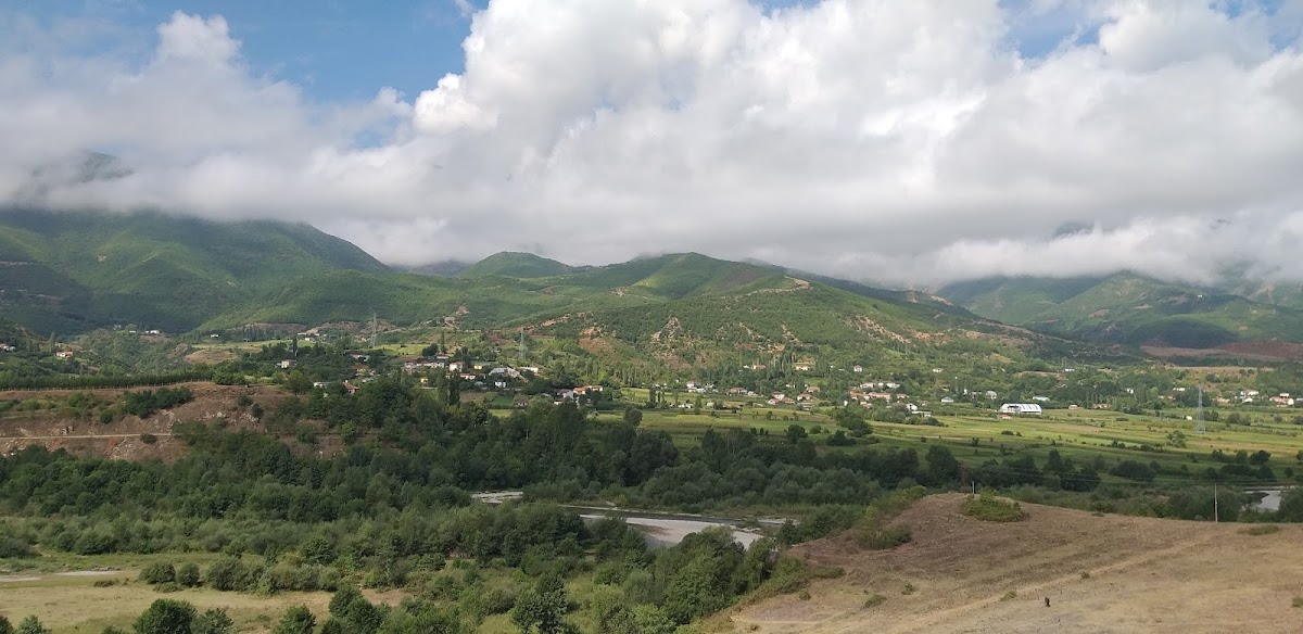 Laimi