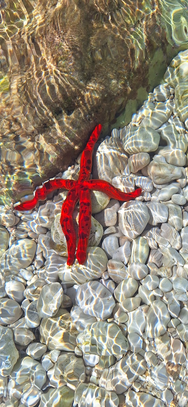 Eni’s Bay photo 5