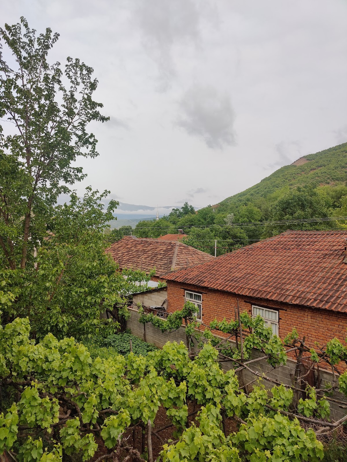 Village house view photo 4