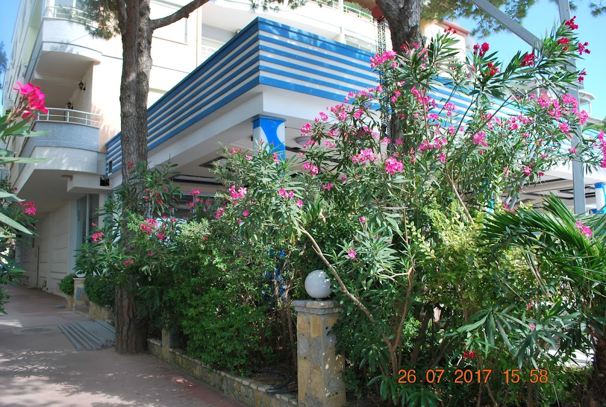 FIONA's SEA VIEW APARTMENT photo 4