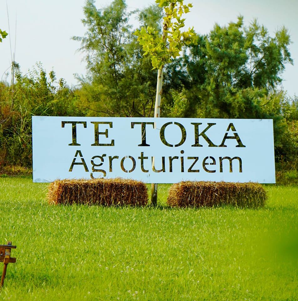Camping - Te Toka photo 4