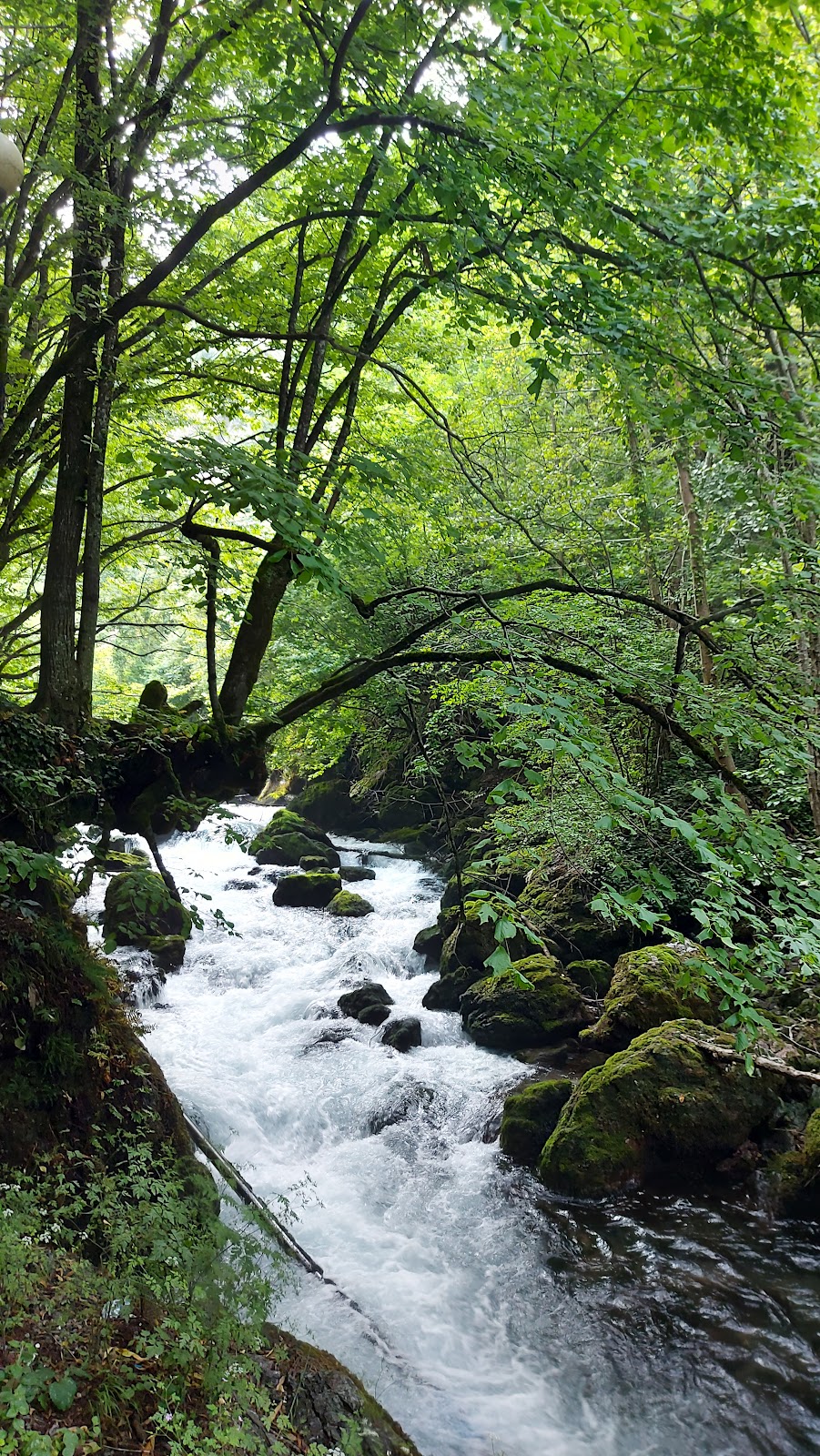 Radavc photo 2