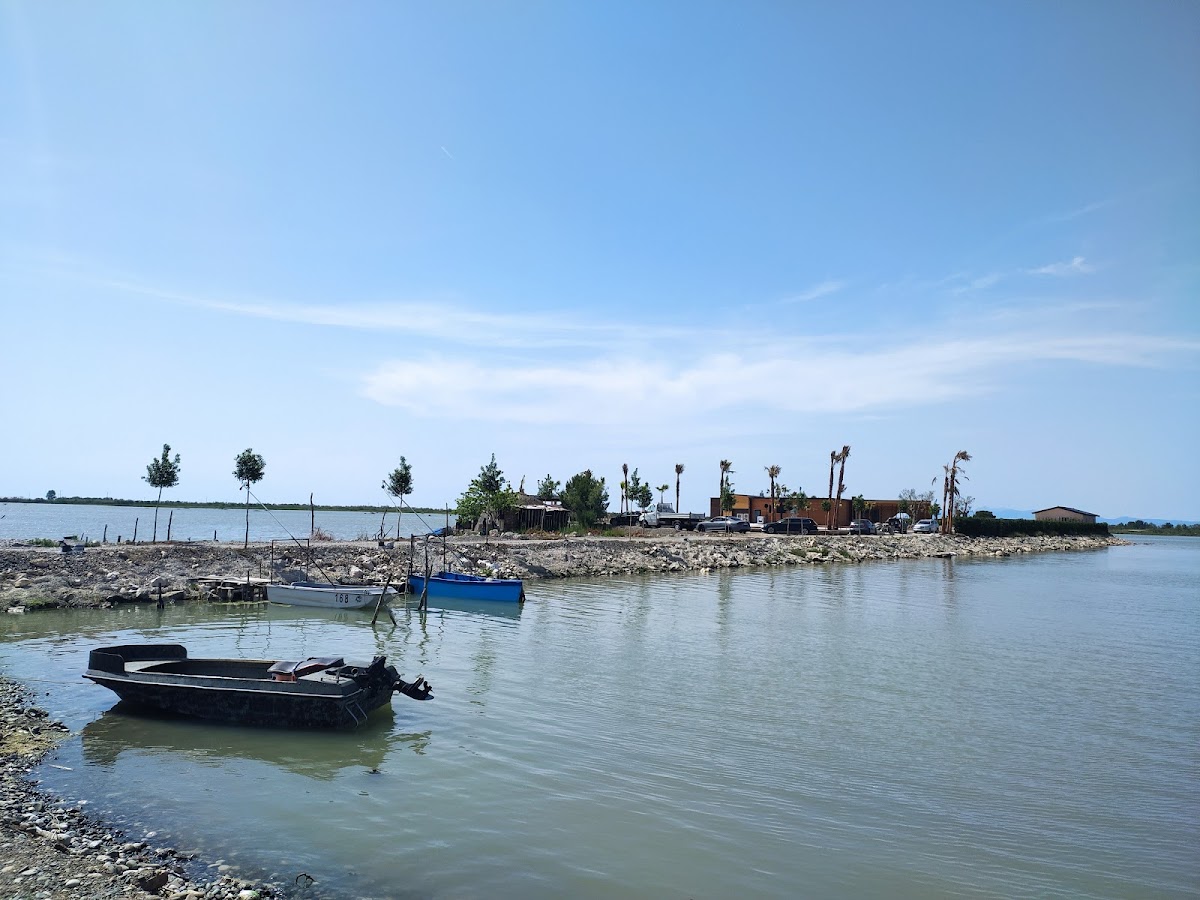 Patok Lagoon (Fushë Kuqe, Albania) photo 2