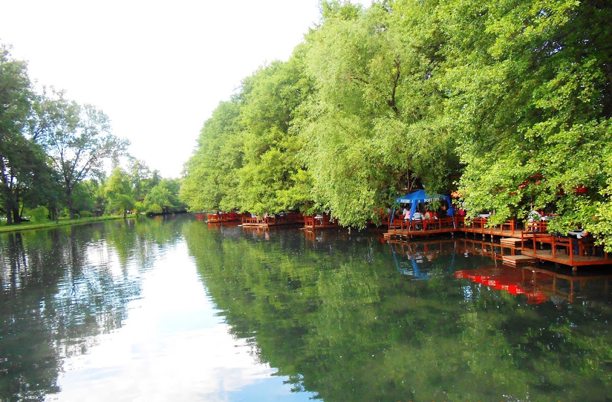 National Park of Drilon — Atraksione në Pogradec