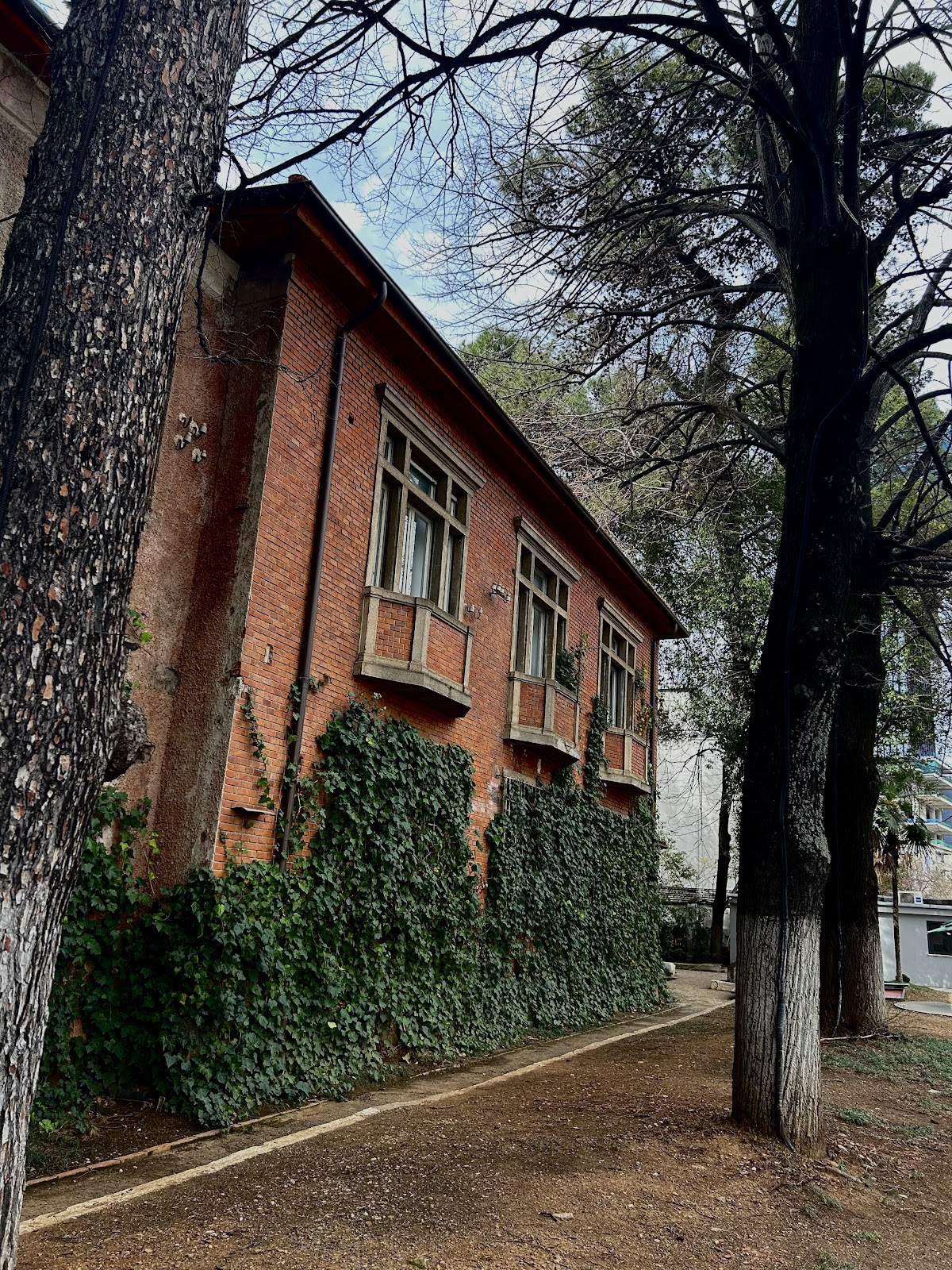 House of Leaves Museum photo 3