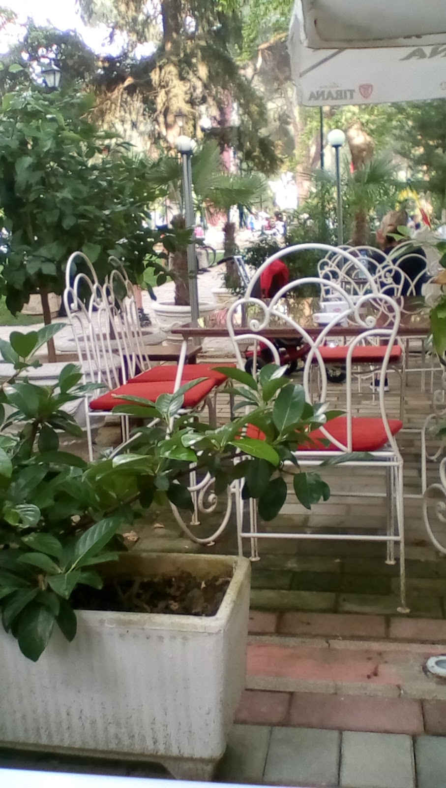Bar Restorant El Dorado Berat