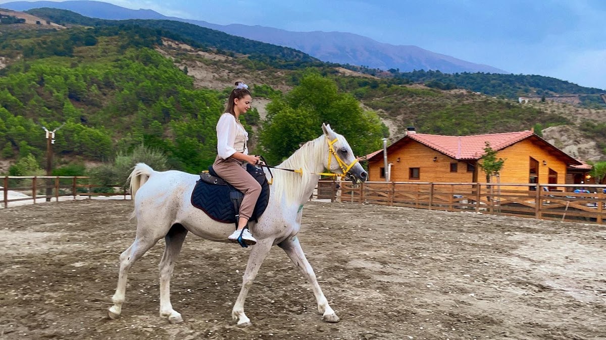 Sancho Farm Albania photo 5